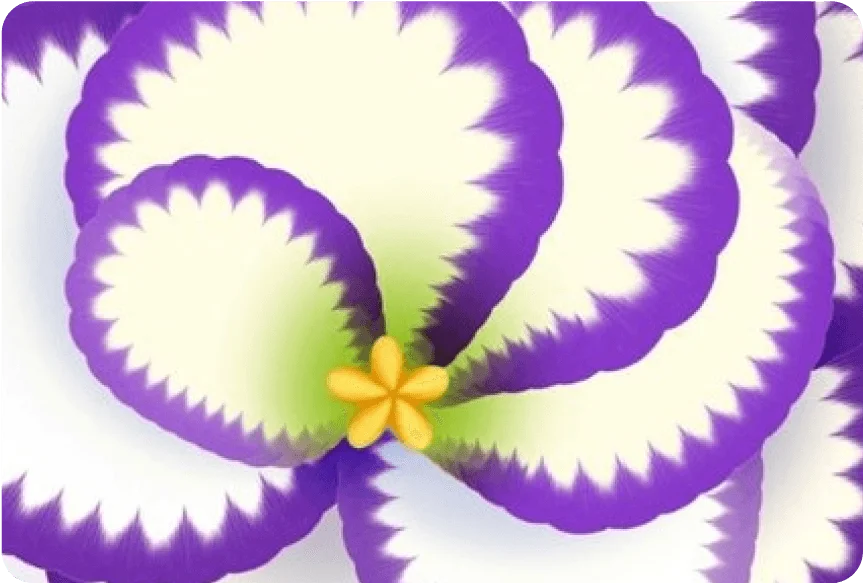 Post_Image